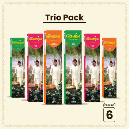 Trio Pack - Pack of 6